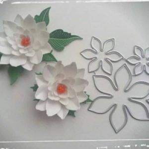 FLOR JANE