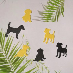 PET/ CACHORRINHOS