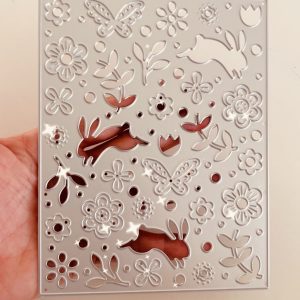 Placa cartões  coelhos