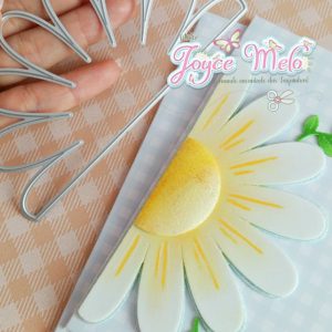 Meia Margarida